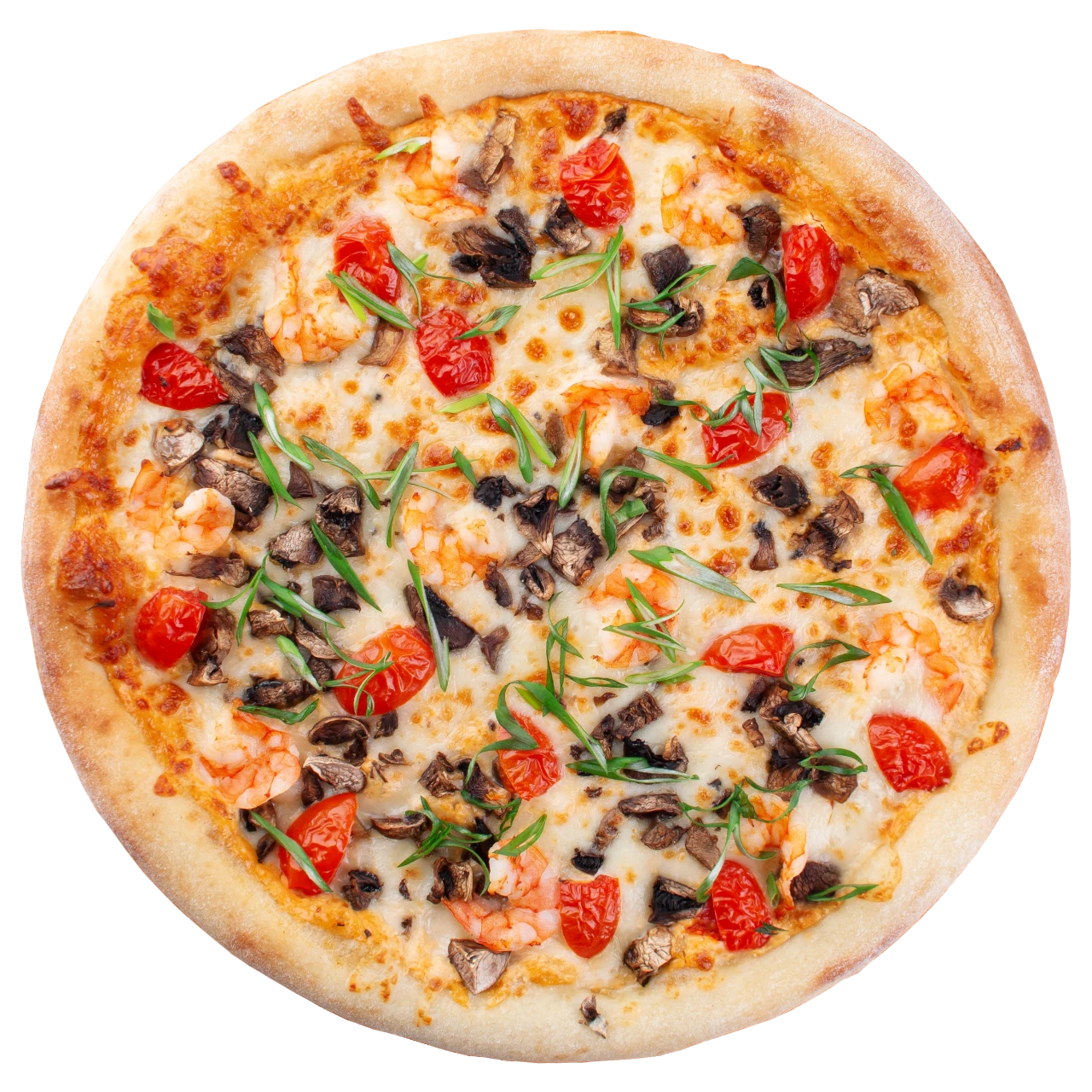 Тайская креветка 30см